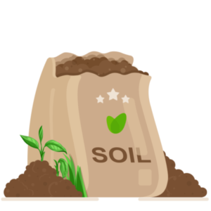 Soil